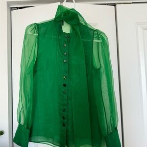 Organza blouse from Zara